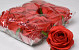 Artificial Rose Red D9cm