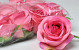 Artificial Rose Dark Pink D9cm