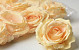 Artificial Rose Pastel Yellow D10cm 