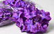 Hydrangea Head Purple D16cm