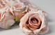 Artificial Rose Beige D10cm 