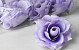 Artificial Rose Light Lilac D11cm