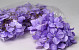 Artificial Hydrangea Head Pastel Lilac D16cm 