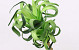 Plante en mousse 45cm vert