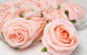 Artificial Rose Light Pink D9cm