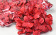 Tête d'Hortensia Rouge Artificielle D16cm