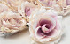 Artificial Rose Pink/Cream D11cm 