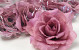 Artificial Rose Mauve D10cm 