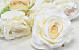 Artificial Rose White D10cm