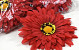 Künstliche Gerbera Rot D15cm