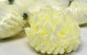 Artificial Chrysanthemum Yellow/Cream D13cm