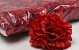 Artificial Carnation Red D9cm