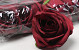 Artificial Rose Burgundy D9cm