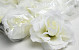 Rose Crème Artificielle D10cm