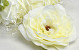 Artificial Peony Cream D13cm