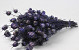 Bouquet Nigella Pourpre 45cm 