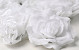 Artificial Rose White D10cm