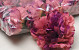 Artificial Carnation Purple/Pink D9cm 