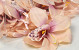 Artificial Orchid Pink/Peach D13cm 