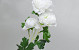 Artificial Camellia White 70cm 