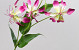 Gloriosa artificielle Rose 80cm 