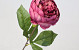 Pivoine artificielle  Rose Foncé 42cm 