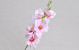 Künstliche Gladiole Rosa 54cm 