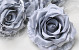 Rose Satin Grau D11cm