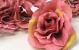 Artificial Rose Mauve D10cm