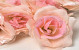 Artificial Rose Pink D10cm