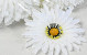 Artificial Gerbera White D15cm