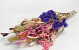 Dried Flower Bouquet Colourful 30cm