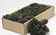 Reindeer Moss Pine Green 500g.