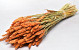 Bouquet Triticum Orange (blé) 70cm