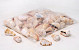 Coquillages strombus luhuanus 1kg
