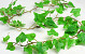 Garland Hedera 150cm