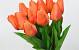 Tulp Orange 60cm