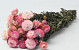 Bouquet Helichrysum Rose 45cm