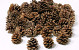 Pine Cone 2KG