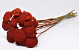 Achillea Parker Red 70cm