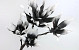 Foam Flower Spray White/Charcoal, D 18/28cm