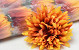 Artificial Chrysanthemum Orange D12cm