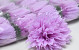 Artificial Chrysanthemum Lila D12cm