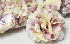 Artificial Carnation Cream D9cm 