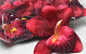 Orchidée Rouge Foncé Artificielle D13cm