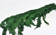 Thuja Green 100cm 1kg