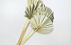 Palm Spear ronde 40-55cm 