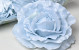 Artiticial Rose XXL light Blue D21cm