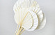 Palm Spear ronde Blanchi 40-55cm 