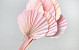 Palm Spear ronde Rose Pastel 40-55cm 